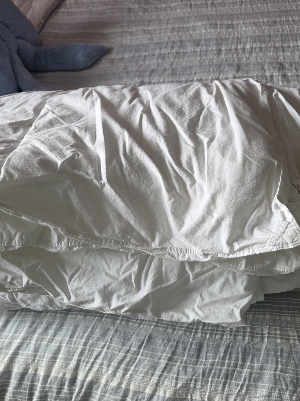Pottery Barn Teen White Duvet Insert